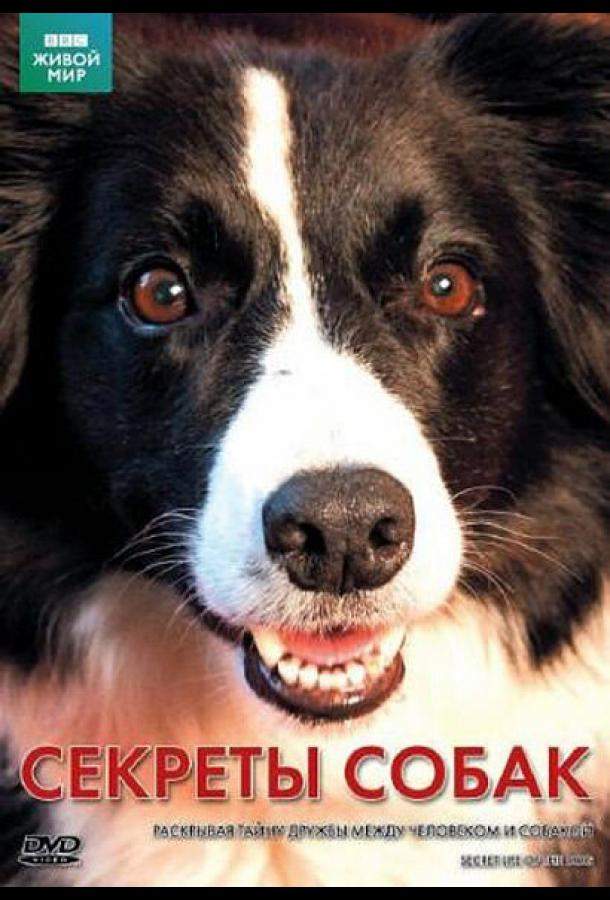 BBC: Секреты собак